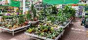 OBI Markt Rödermark - OBI Gartencenter Rödermark