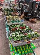 OBI Markt Röthenbach - Mähroboter in großer Auswahl