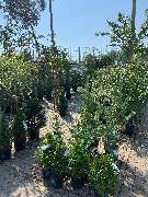 OBI Markt Röthenbach - OBI Baustoffhalle Röthenbach