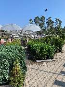 OBI Markt Röthenbach - OBI Baustoffhalle Röthenbach