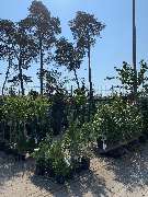 OBI Markt Röthenbach - OBI Baustoffhalle Röthenbach