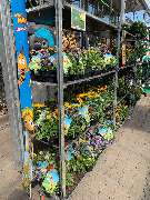 OBI Markt Röthenbach - OBI Farbmisch-Service Röthenbach