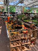 OBI Markt Röthenbach - OBI Gartencenter Röthenbach