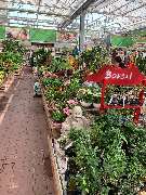 OBI Markt Röthenbach - OBI Gartencenter Röthenbach