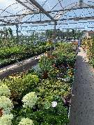 OBI Markt Röthenbach - OBI Lampen- & Leuchtenstudio Röthenbach