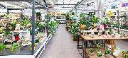 OBI Markt Rotenburg / Wümme - OBI Gartencenter Rotenburg-Wümme