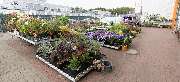 OBI Markt Rotenburg / Wümme - OBI Gartencenter Rotenburg-Wümme