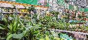 OBI Markt Roth - OBI Gartencenter Roth