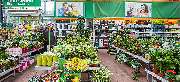OBI Markt Roth - OBI Gartencenter Roth