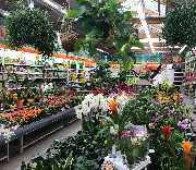 OBI Markt Rudolstadt - GALLERY