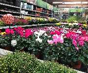 OBI Markt Rudolstadt - GALLERY