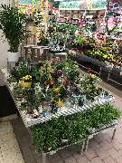 OBI Markt Rudolstadt - OBI Mittelgang Rudolstadt