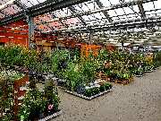 OBI Markt Rüsselsheim - Garten Außenbereich