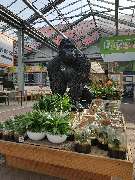 OBI Markt Rüsselsheim - Garten Innenbereich