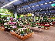 OBI Markt Rüsselsheim - Garten Innenpflanzen
