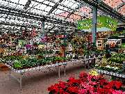 OBI Markt Rüsselsheim - Garten Innenpflanzen