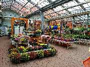 OBI Markt Rüsselsheim - Garten Kalthalle