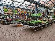 OBI Markt Rüsselsheim - Garten Kalthalle