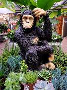 OBI Markt Rüsselsheim - Unser Haustier ;-)