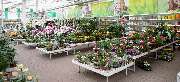 OBI Markt Salzwedel - OBI Gartencenter Salzwedel