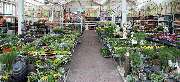 OBI Markt Salzwedel - OBI Gartencenter Salzwedel