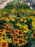 OBI Markt Schleusingen - GALLERY