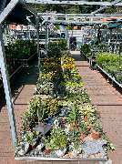 OBI Markt Schleusingen - GALLERY