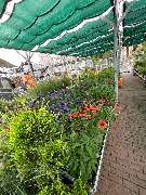 OBI Markt Schleusingen - OBI Gartencenter Schleusingen