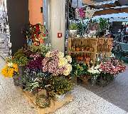 OBI Markt Schleusingen - OBI Gartencenter Schleusingen