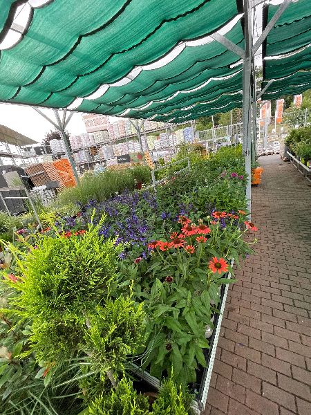 OBI Markt Schleusingen - OBI Gartencenter Schleusi …