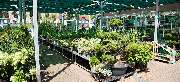 OBI Markt Schleusingen - OBI Mittelgang Schleusingen