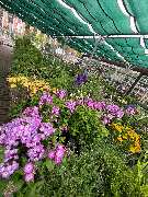 OBI Markt Schleusingen - OBI Parkplatz Schleusingen