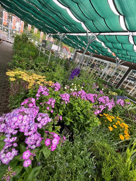 OBI Markt Schleusingen - OBI Parkplatz Schleusinge …