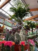 OBI Markt Schleusingen - Weihnachtsmarkt 2021