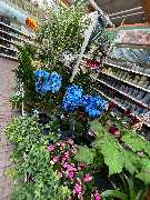 OBI Markt Schleusingen - Weihnachtsmarkt 2021