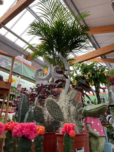 OBI Markt Schleusingen - Weihnachtsmarkt 2021