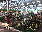 OBI Markt Schwandorf - Garten