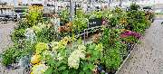 OBI Markt Schwandorf - OBI Gartencenter Schwandorf