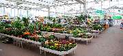 OBI Markt Schwarzenberg - OBI Gartencenter Schwarzenberg