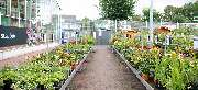 OBI Markt Schwarzenberg - OBI Gartencenter Schwarzenberg
