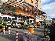 OBI Markt Siegen-Weidenau - Bereits vor unserem Eingang finden sie eine große Vielfalt an Blumen und Pflanzen