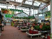 OBI Markt Siegen-Weidenau - Gartencenter