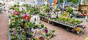 OBI Markt Simmern - OBI Gartencenter Simmern