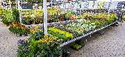 OBI Markt Simmern - OBI Gartencenter Simmern
