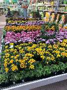 OBI Markt Sindelfingen - OBI Badplaner Sindelfingen