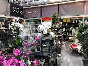 OBI Markt Singen - OBI Gartencenter Singen