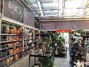 OBI Markt Singen - OBI Gartencenter Singen