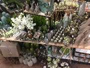 OBI Markt Sinzheim - Dekoration in allen Farben und Formen