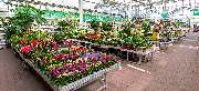 OBI Markt Sinzheim - OBI Gartencenter Sinzheim