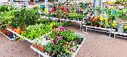 OBI Markt Sinzig - OBI Gartencenter Sinzig